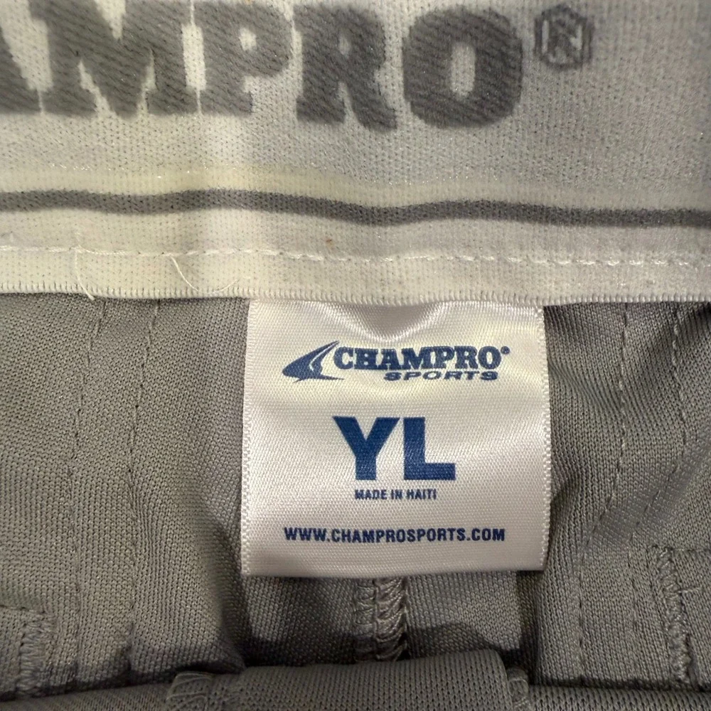 Champro Sports Youth Large Baseball Pants Grey Scarlet Red‎ Pipe BP101 NWT